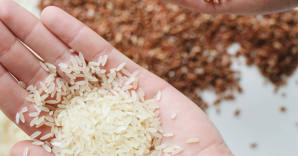 whole grains vs refined grains